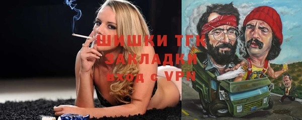 хмурый Алексеевка