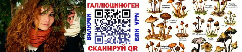 купить   Киржач  Псилоцибиновые грибы прущие грибы 