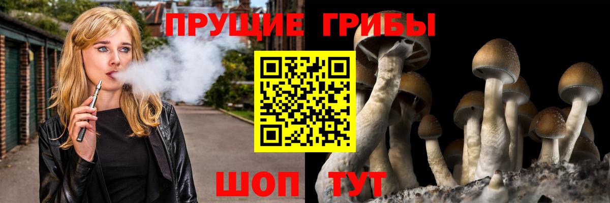 Галлюциногенные грибы прущие грибы  Вход с VPN  Киржач 
