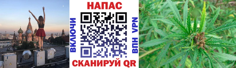 omg онион  Киржач  darknet состав  купить   Конопля тримм 